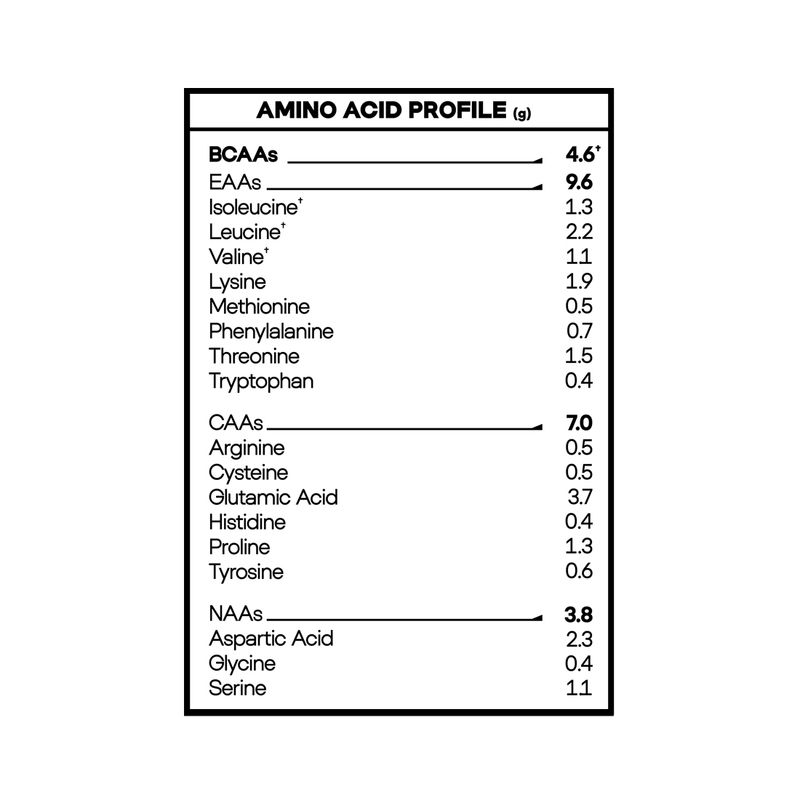 lioness-diet-5lbs-aminograma