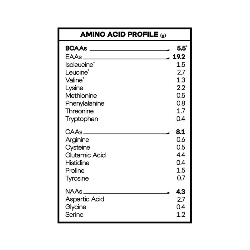 lion-whey-5lbs-aminograma